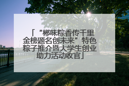 “郴味粽香传千里 金榜题名创未来”特色粽子推介暨大学生创业助力活动收官
