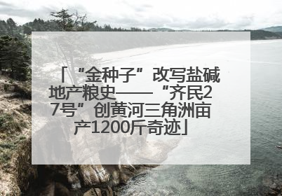 “金种子”改写盐碱地产粮史——“齐民27号”创黄河三角洲亩产1200斤奇迹