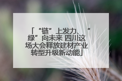 “链”上发力、“绿”向未来 四川这场大会释放建材产业转型升级新动能