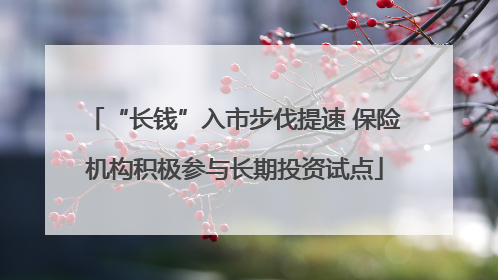 “长钱”入市步伐提速 保险机构积极参与长期投资试点
