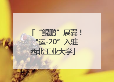 “鲲鹏”展翼！“运-20”入驻西北工业大学
