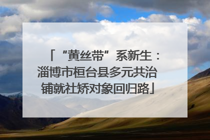 “黄丝带”系新生：淄博市桓台县多元共治铺就社矫对象回归路