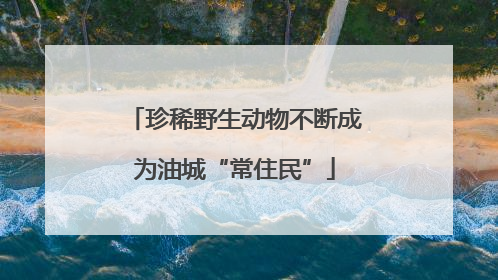 珍稀野生动物不断成为油城“常住民”