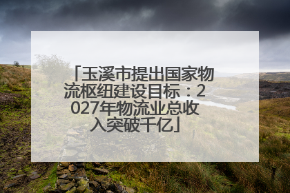 玉溪市提出国家物流枢纽建设目标：2027年物流业总收入突破千亿