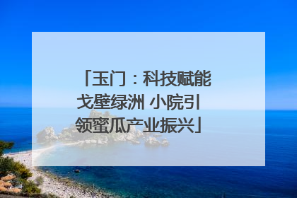 玉门：科技赋能戈壁绿洲 小院引领蜜瓜产业振兴