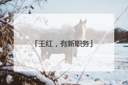 王红，有新职务