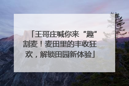 王哥庄喊你来“趣”割麦！麦田里的丰收狂欢，解锁田园新体验