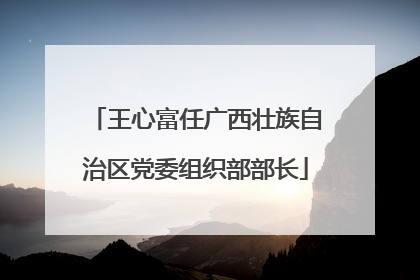 王心富任广西壮族自治区党委组织部部长