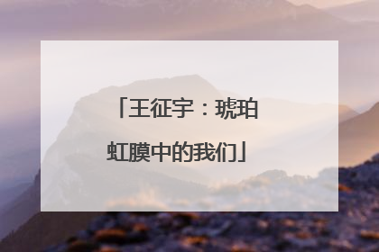 王征宇：琥珀虹膜中的我们