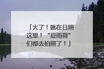 火了！就在日照这里！“夏雨荷”们都去拍照了！