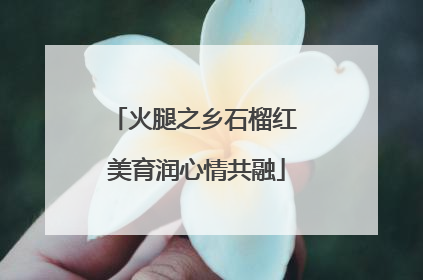 火腿之乡石榴红 美育润心情共融