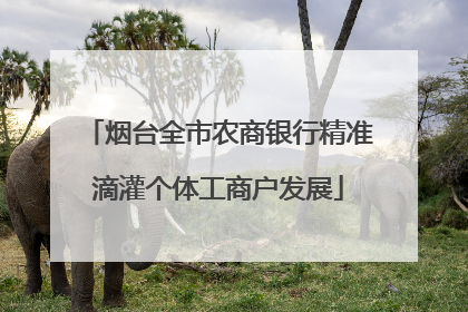 烟台全市农商银行精准滴灌个体工商户发展