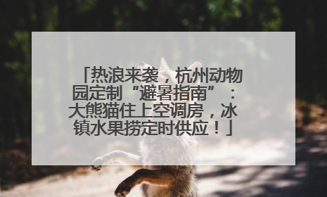 热浪来袭，杭州动物园定制“避暑指南”：大熊猫住上空调房，冰镇水果捞定时供应！