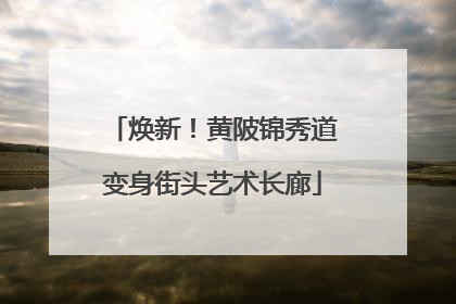 焕新！黄陂锦秀道变身街头艺术长廊