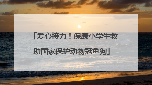 爱心接力！保康小学生救助国家保护动物冠鱼狗