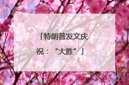 特朗普发文庆祝：“大胜”