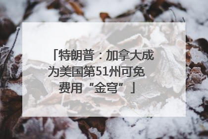 特朗普：加拿大成为美国第51州可免费用“金穹”