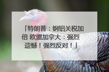 特朗普：钢铝关税加倍 欧盟加拿大：强烈遗憾！强烈反对！