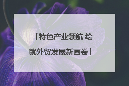 特色产业领航 绘就外贸发展新画卷