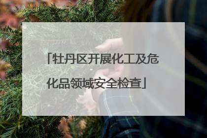 牡丹区开展化工及危化品领域安全检查