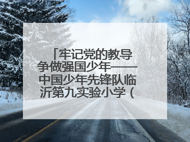 牢记党的教导 争做强国少年——中国少年先锋队临沂第九实验小学（北校区）第三次代表大会胜利召开