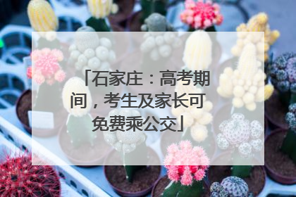 石家庄：高考期间，考生及家长可免费乘公交