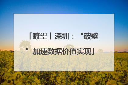 瞭望丨深圳：“破壁”加速数据价值实现