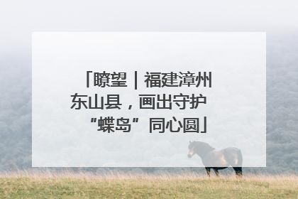 瞭望｜福建漳州东山县，画出守护“蝶岛”同心圆