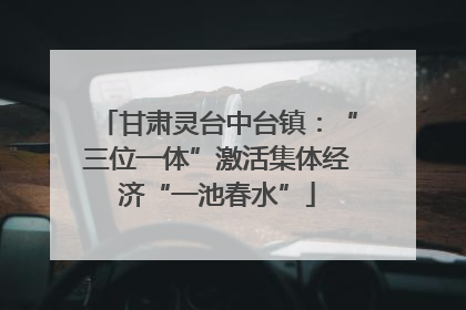 甘肃灵台中台镇：“三位一体”激活集体经济“一池春水”