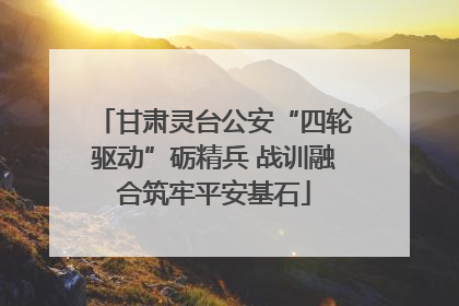 甘肃灵台公安“四轮驱动”砺精兵 战训融合筑牢平安基石