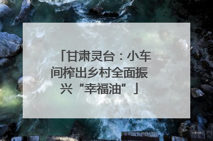 甘肃灵台：小车间榨出乡村全面振兴“幸福油”
