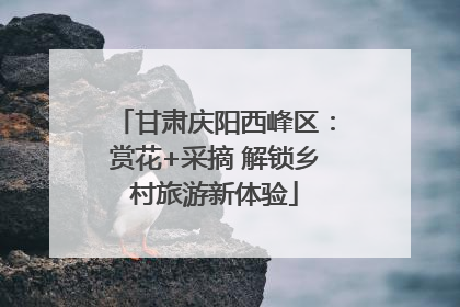 甘肃庆阳西峰区：赏花+采摘 解锁乡村旅游新体验