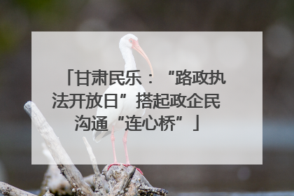 甘肃民乐：“路政执法开放日”搭起政企民沟通“连心桥”