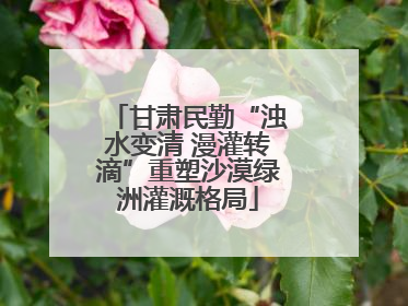 甘肃民勤“浊水变清 漫灌转滴”重塑沙漠绿洲灌溉格局