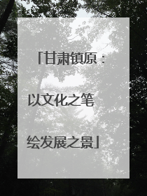 甘肃镇原：以文化之笔 绘发展之景