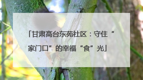 甘肃高台东苑社区：守住“家门口”的幸福“食”光