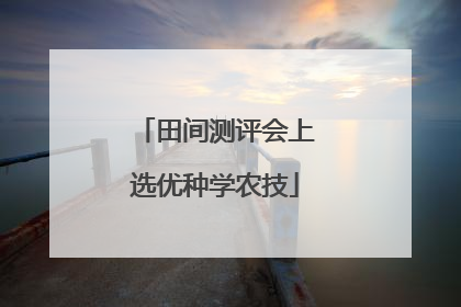 田间测评会上选优种学农技