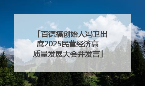 百德福创始人冯卫出席2025民营经济高质量发展大会并发言