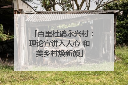 百里杜鹃永兴村：理论宣讲入人心 和美乡村焕新颜