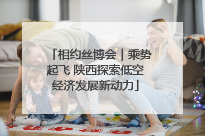 相约丝博会｜乘势起飞 陕西探索低空经济发展新动力