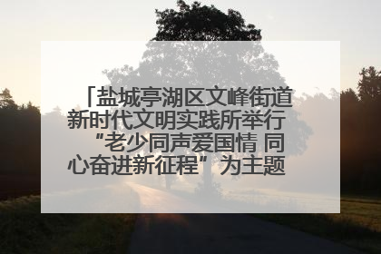 盐城亭湖区文峰街道新时代文明实践所举行“老少同声爱国情 同心奋进新征程”为主题的红色文化活动