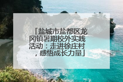 盐城市盐都区龙冈镇暑期校外实践活动：走进徐庄村，感悟成长力量
