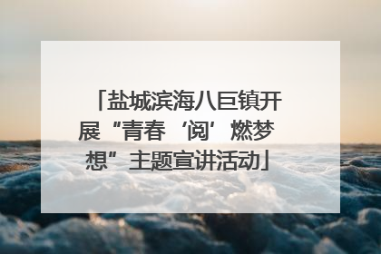 盐城滨海八巨镇开展“青春‘阅’燃梦想”主题宣讲活动
