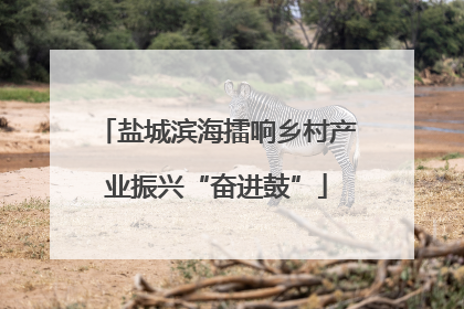 盐城滨海擂响乡村产业振兴“奋进鼓”