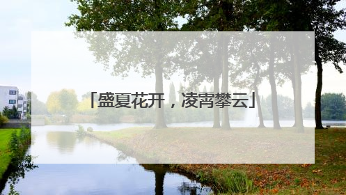 盛夏花开，凌霄攀云