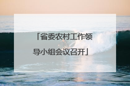 省委农村工作领导小组会议召开