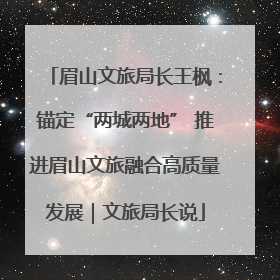 眉山文旅局长王枫：锚定“两城两地” 推进眉山文旅融合高质量发展｜文旅局长说