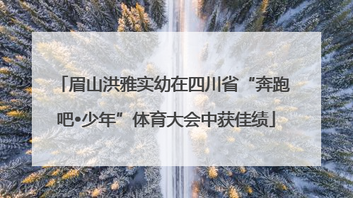 眉山洪雅实幼在四川省“奔跑吧•少年”体育大会中获佳绩