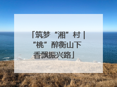 筑梦“湘”村｜“桃”醉衡山下 香飘振兴路