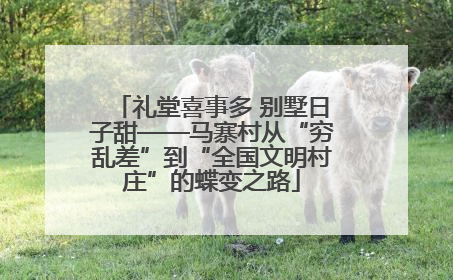 礼堂喜事多 别墅日子甜——马寨村从“穷乱差”到“全国文明村庄”的蝶变之路